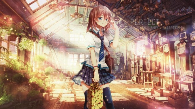 运动员张国伟用两个对吹风扇让纸飞机「悬停」，这是怎么实现的？从物理学角度如何解释？